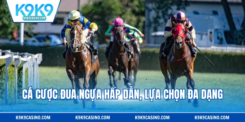 Cá cược đua ngựa hấp dẫn, lựa chọn đa dạng
